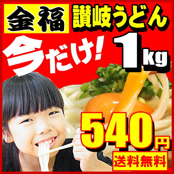 1,000万食の実力ドーンと1kg【500g×2袋】便利な個包装タイプ金福讃岐うどん 早い者勝ち!