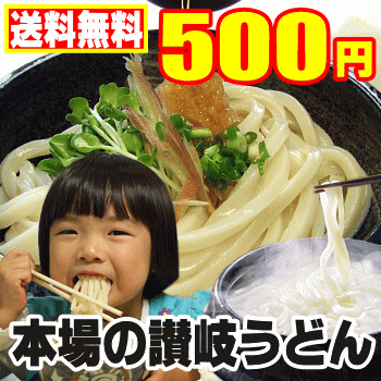メール便【送料無料】半生完熟讃岐うどん半生讃岐うどんセット【...