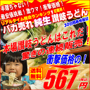 送料無料・最安値挑戦！1人前食べ切り個包装タイプ！純生讃岐う...