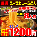 サラリ味＆とろ〜り味・・2通りの味が楽しめる激選スープカレーうどんがナント！1200円【RCP】スープカレーうどん【メール便】【送料無料】 ランキングお取り寄せ