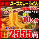 お歳暮 送料無料 うどん サラリ味＆とろ〜り味・・2通りの味...