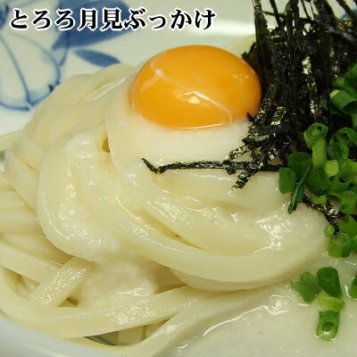 【送料無料】讃岐うどん三味さぬきうどん讃岐うどん【2sp_120622_b】