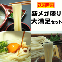 【送料無料】新メガ盛り大満足セット（讃岐うどん）【楽ギフ_の...