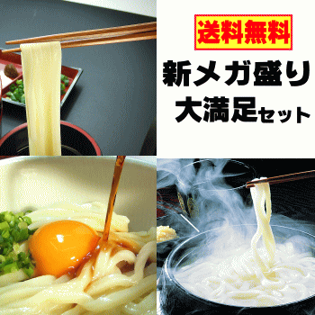 【送料無料】新メガ盛り大満足セット（讃岐うどん）【楽ギフ_の...