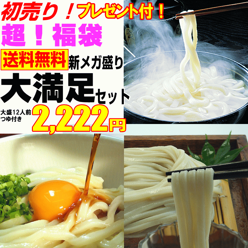 超福袋！【送料無料】新メガ盛り大満足セット（讃岐うどん）【楽...