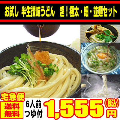 【送料無料】お試し回数無制限人気の半生讃岐うどん特別お試しセット【RCPapr28】【送料無料】お試し無制限！てまひま掛けた、二段熟成の讃岐うどんは並・細・極太麺と2種類のつゆが楽しめる！6人前