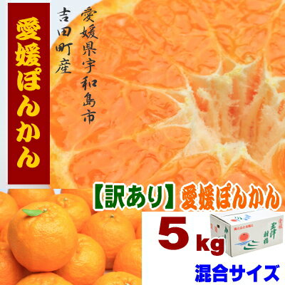 わけあり愛媛ぽんかん5kg 混合サイズ