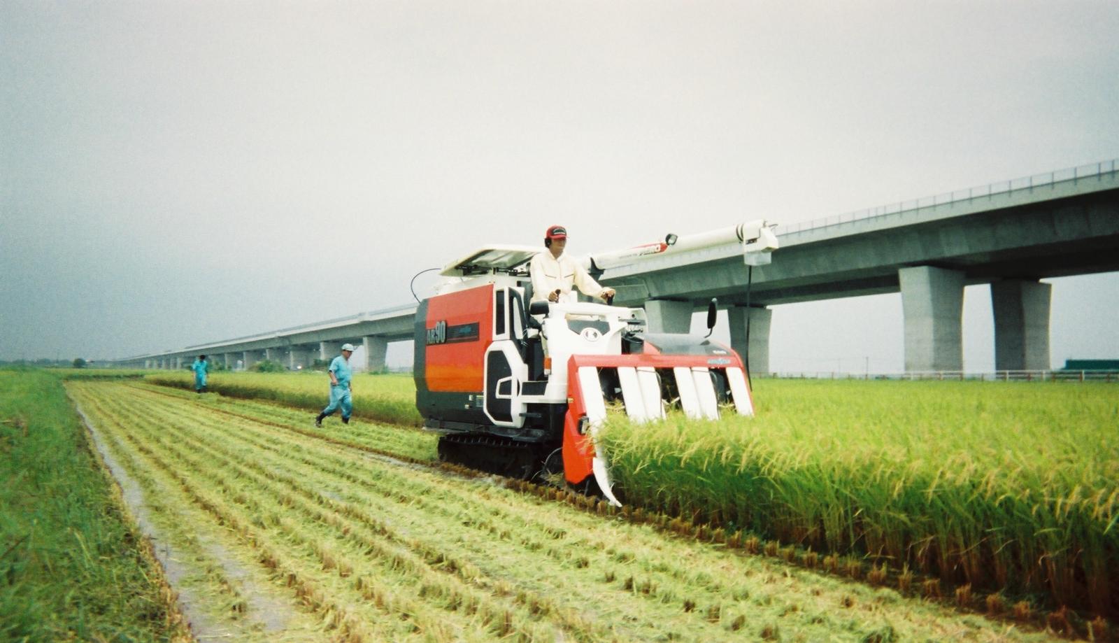 8月6日出荷再開　23年産●セシウム不検出愛知県産人気契約生産者 伊藤文夫さんのあいちのかおり玄米30kg【送料無料】絶対お値打ち！！【ご注文いただいたお米の取り置きはできません】