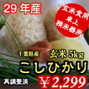 【29年産】千葉県産コシヒカリ 玄米5kg送料無料♪精米無料♪※送料無料地域に除外あり北海道・九州 +400円※【コンビニ受取対応商品】
