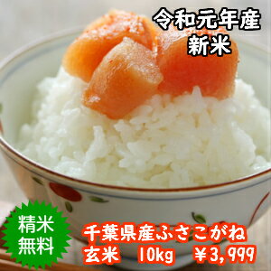 【令和元年産】千葉県産　ふさこがね玄米10kg（5kg×2）送料無料♪精米無料♪※送料無料地域に除外があります※北海道・九州：+400円