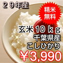 【29年産】千葉県産 コシヒカリ玄米10kg(5kg×2)生...
