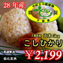 ★ちばエコ★減農薬コシヒカリ 玄米 5kg送料無料♪数量限定♪※送料無料地域に除外があります※北海道・九州:+600円【コンビニ受取対応商品】