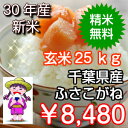【30年産 新米!】千葉県産ふさこがね玄米25kg♪精米無料...