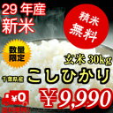【29年産】新米入荷!千葉県産 コシヒカリ玄米30kg(10kg×3)送料無料♪精米無料♪小分けも無料♪※送料無料地域に除外があります※北海道・九州:+600円
