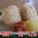 【30年産】千葉県産コシヒカリ 玄米5kg送料無料♪精米無料...