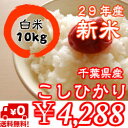【29年産】新米入荷!千葉県産菜の花こしひかりつきたて白米10kg(5kg×2)※送料無料※※送料無料地域に除外があります※北海道・九州:+400円