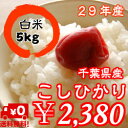 【29年産】千葉県産 コシヒカリ つきたて白米 5kg生産者...