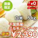 千葉県産 ミルキークイーン つきたて5kg【28年産】送料無料♪数量限定♪※送料無料地域に除外があります※北海道・九州:+400円