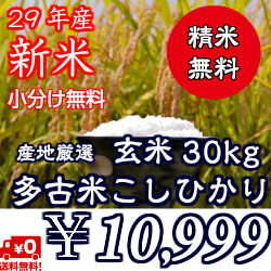 【29年産】新米入荷！数量限定！新潟産の米にも負けません！千葉を誇る銘柄米特選こしひかり　極上米★多古米★玄米30kg※送料無料地域に除外があります※北海道・九州＋600円