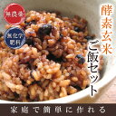 酵素玄米(寝かせ玄米)5kgセット送料無料★30年産無農薬玄...