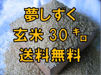 【送料無料】【精米無料】【小分け無料】　(玄米）極上米 23年産　九州　佐賀県白石産　　夢しずく　30kg