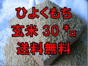 もち米の本場から産地直送！！　23年産　新米　玄米　九州　佐賀県産　ひよくもち30kg