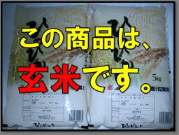 【玄米】【28年産】　佐賀県白石産森さんちのヒノヒカリ　5kg×2【05P06jul13】