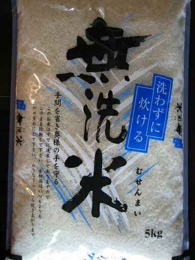 無洗米　産地厳選【送料無料】最高ランク「特A」23年産　佐賀県産米「さがびより」　5kg×2【0603superP5】地元だから厳選できる！佐賀の中でも優良産地のプレミアム当店特別な「さがびより」2010度「特A」獲得