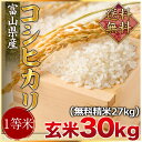 【新米】平成28年度産 富山県入善産コシヒカリ1等米(JA米) 玄米30kg(精米無料)(1等米)(送料無料 但し北海道 九州 四国 沖縄を除く)