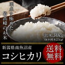 平成28年度産 新潟県南魚沼産コシヒカリ1等米(JA魚沼みなみ) 玄米30kg(精米無料)(1等米)(送料無料 但し北海道 九州 四国 沖縄を除く)
