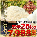 武蔵の里米 ワンランク上のお米 玄米25kg(精米無料)(農...