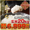 武蔵の里米 きずな 玄米20kg(精米無料)(農家直米)(送...