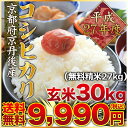 【新米】平成28年度産 京都府京丹後産コシヒカリ 玄米30kg(精米無料)(1等米)(送料無料 但し北海道 九州 四国 沖縄を除く)