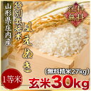 【新米】送料無料 H28年特別栽培米 山形県庄内産はえぬき1等米 玄米30kg (精米無料)(1等米)(送料無料 但し北海道 九州 四国 沖縄を除く)