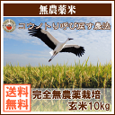 【完全無農薬】コウノトリ呼び戻す農法米 福井県越前コシヒカリ 玄米 10kg 28年産 【送料無料(一部地域除く)】【02P29Aug16】