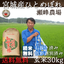 宮城県 瀬峰農場 ひとめぼれ 28年産 玄米30kg【送料無料(一部地域除く)】【02P29Aug16】