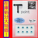 【在庫処分大特価!】【メール便可】TWO by TWO Tポイント