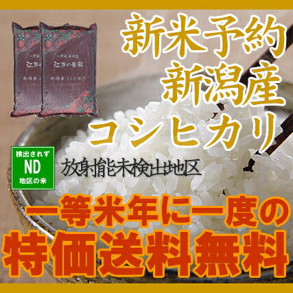 24年産　新米予約　一等米100%　新潟県産コシヒカリ5kg×2個≪送料無料≫