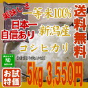 【RCP】【平成25年産 新米 新潟 こしひかり】