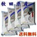 《21年産【新米】一等米100%使用》≪送料無料≫秋田県由利本荘産ひとめぼれ5kg×4個