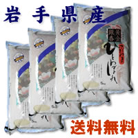 20ǯڿơ۰100%ѡբ̵긩ҤȤܤ5kg4