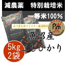≪送料無料≫特別栽培米(減農薬・減化学肥料) 一等米 新潟県魚沼産コシヒカリ5kg×2個(10kg)【楽ギフ_のし】【楽ギフ_のし宛書】【楽ギフ_メッセ】【楽ギフ_メッセ入力】【RCP】【HLS_DU】10P06May15