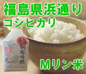 ＜こだわり米＞福島県浜通り産コシヒカリ【Mリン米】特別栽培米【あす楽対応】