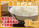 日本で最も食味値の高い「魚沼こしひかり」【こめひこ米】魚沼コシヒカリ 3キロ【あす楽対応_東北】【あす楽対応_関東】【あす楽対応_甲信越】【あす楽対応_北陸】【あす楽対応_東海】【あす楽対応_近畿】【あす楽対応_中国】【あす楽対応_四国】【楽ギフ_包装】10P21Dec09