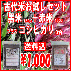 1000ߡۡ20ǯٻơơƤå