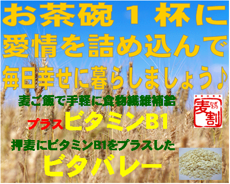 ʪݤ˭٤˥ӥߥB1򶯲īԡ̵ҰդǷӥХ졼