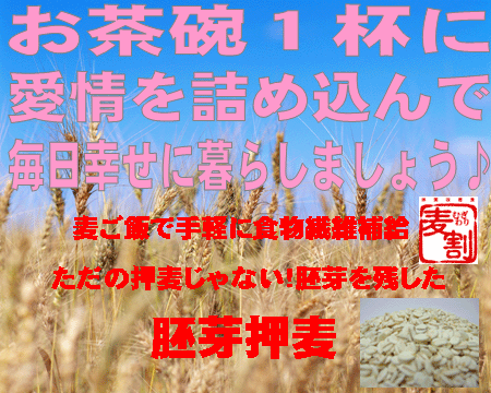 ʪݤ˭٤ʺǤ⥹ɤ겡 800gĶ0310