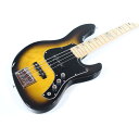 FUJIGEN EMJ-ASH-M【中古】