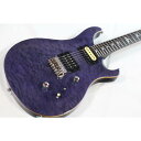 PAUL REED SMITH SE CUSTOM 24【中古】