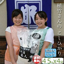 令和5年産 米 こしひかり 小分け 4袋 送料込み 一等米 埼玉県 精米無料（白米/玄米 18kg）